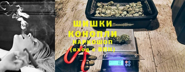 PSILOCYBIN Балабаново