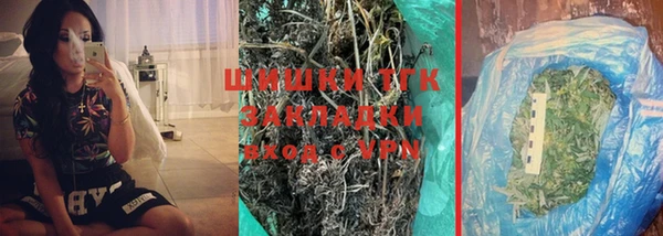 гашик Алексеевка