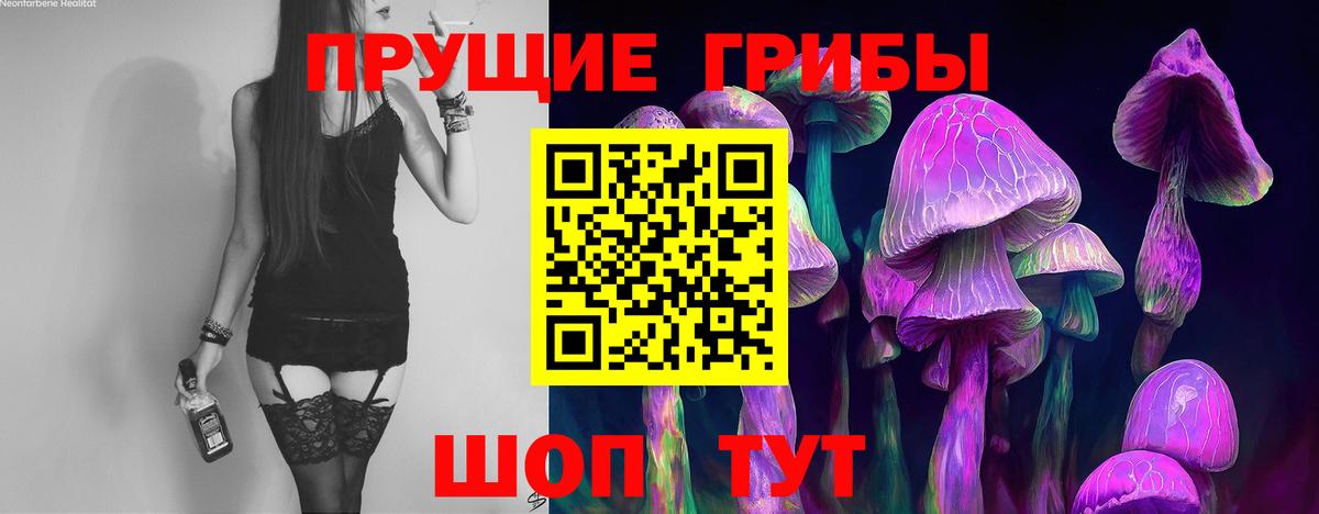 Галлюциногенные грибы Cubensis  Вход с VPN  как найти   Сосновоборск 