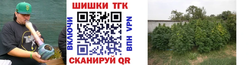 наркотики  Сосновоборск  ОМГ ОМГ tor  МАРИХУАНА LSD WEED 